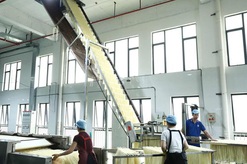 柳江区 精准创新双轮驱动，食药产业强音奏响技术服务新篇章