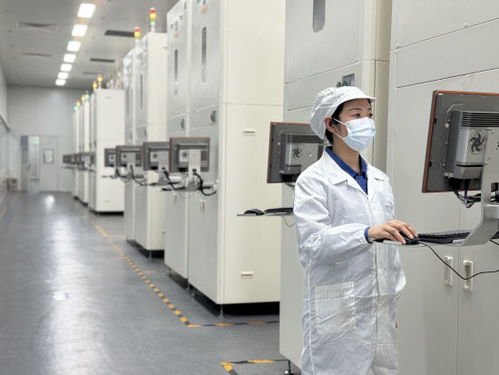 全力拼经济 奋战开门红 平煤神马实干开新局，技术服务创佳绩